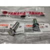Screw Cone Fork RXZ