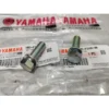 Screw Cone Fork RXZ