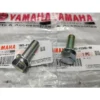 Screw Cone Fork RXZ